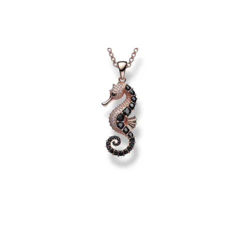 Seahorse 